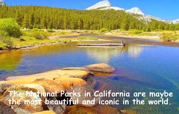 National Parks In California Are Renowned For Their Splendor