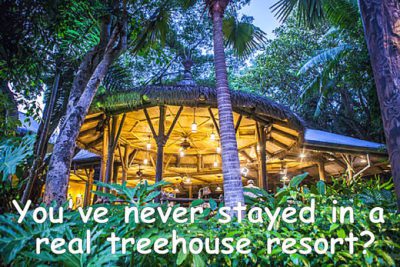 treehouse resort